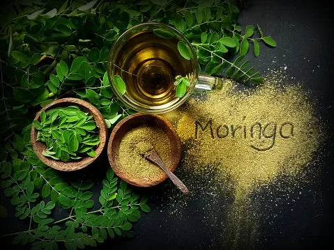 A GUIDE TO USE MORINGA OIL FOR NEWBIES on satliva.com