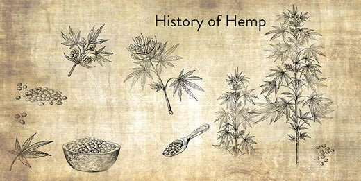 The Historic and Present Use of Hemp in Wellness and Body Care on satliva.com