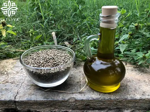10 Facts You Probably Didn’t Know About Hemp Seed Oil on satliva.com
