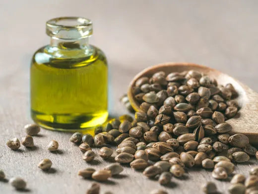 Hemp Seed Oil – A boon during the Monsoon