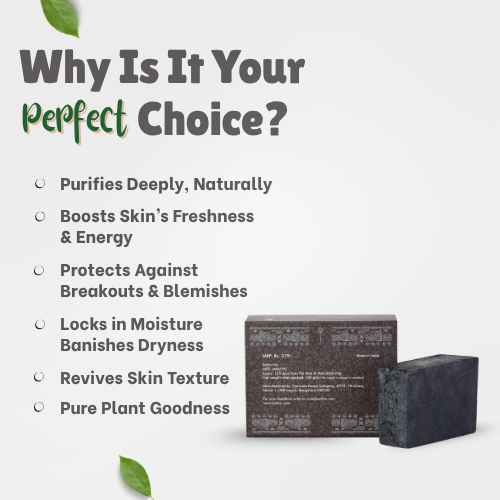 Soap Bar