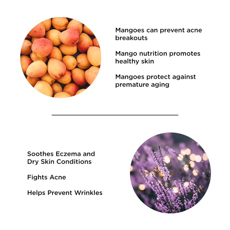 Mango Lavender Face Cream | Natural Skin Care for ageing skin