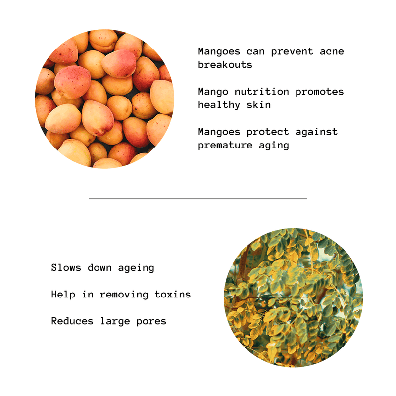 Mango Rosemary | Natural Skin Care for Radiant Skin